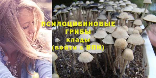 альфа пвп Армянск